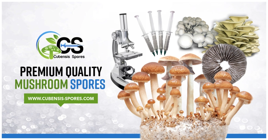 Cubensis-Spores.com